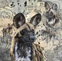 African Painted Dog at Manna Pools 2